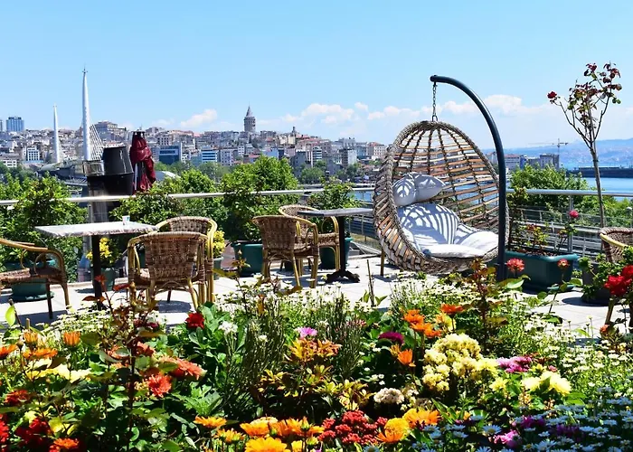 Garden Terrace 3*