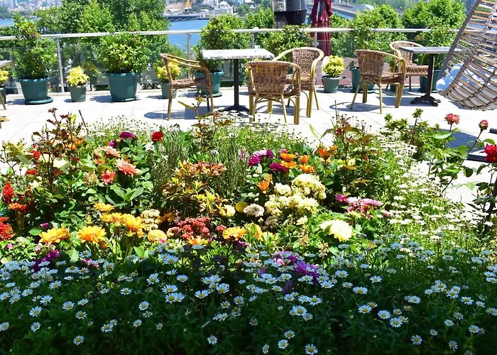 Garden Terrace Отель типа 