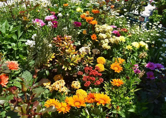 Garden Terrace 3*
