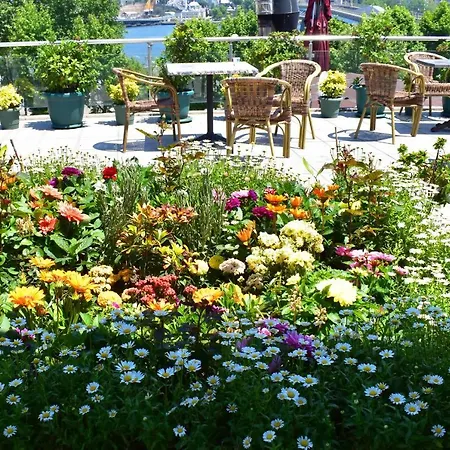 Garden Terrace Bed and breakfast 3*