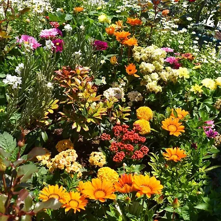 Garden Terrace 3*